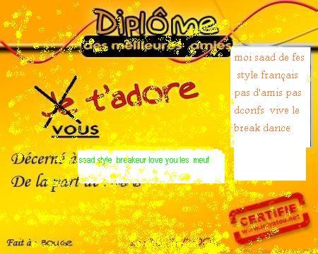 laisse  vous  commentaire